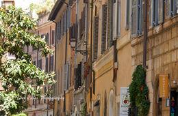 Street in Campo de' Fiori