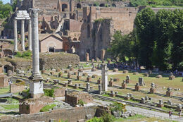 Forum
