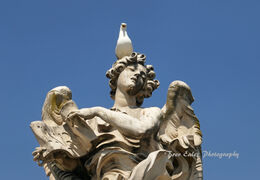 Visitor on Ponte Sant' Angelo