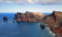 Ponta Do Rosto