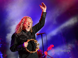 Robert Plant, Robert Plant and the Sensational Shape Shifters.