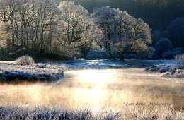 Winter morning, River Brathay