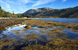knoydart peninsula scotland image 1