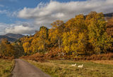 glen strathfarrar scotland