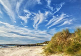 senna bay scotland image 5