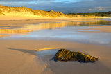 hogh bay isle of coll image 4