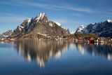 reine image 1