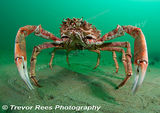 Wildlife Trusts 2010