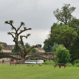 Stamford The Meadows 2014