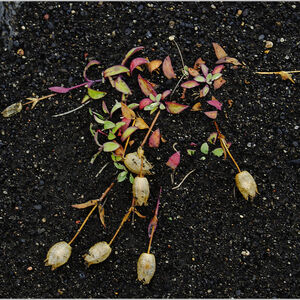 On the way to Landmannalaugar