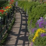 Shrewsbury 3