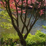 Shrewsbury 6