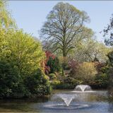 Shrewsbury 8