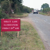Last Days Of Violet Lane Rothwell 1990