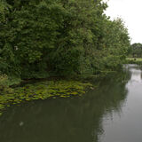 River Welland Stamford 2020