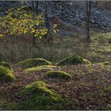 Elterwater #6