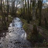 Elterwater #7