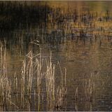 Elterwater #11