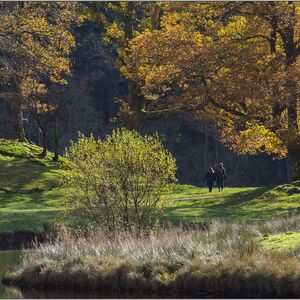 Elterwater #8