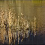 Elterwater #9