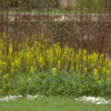 Deene House Gardens