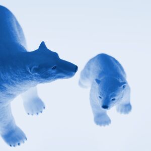 Polar Bear and Cub