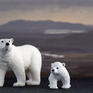 Polar Bear and Cub