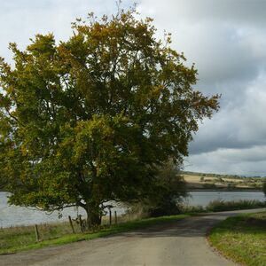 Eyebrook Reservoir
