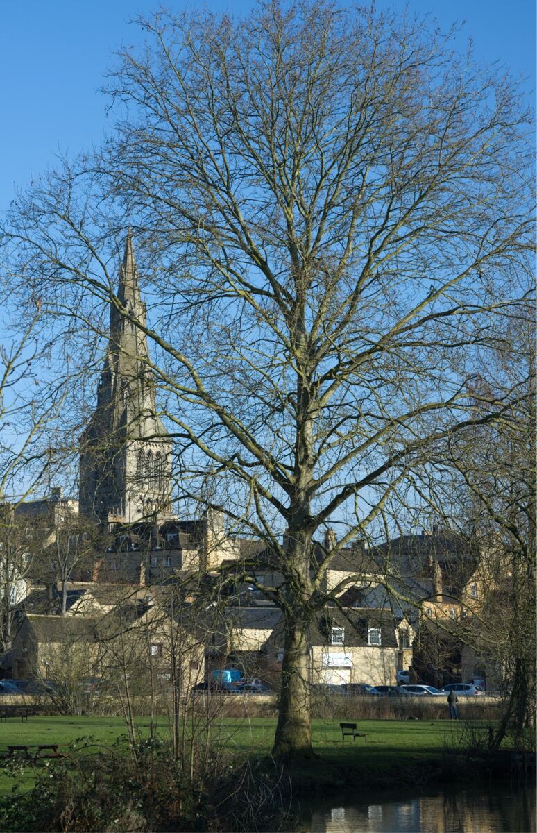 250202 Saint Mary's Church 2