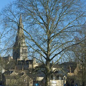 250202 Saint Mary's Church 2