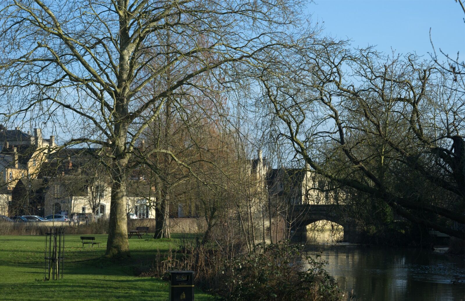 250202 The Meadows 2