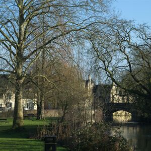 250202 The Meadows 2