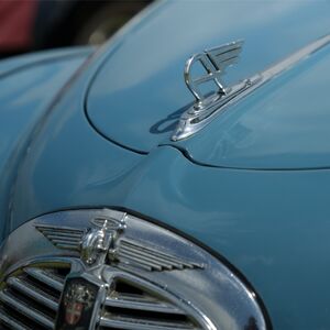 2025 Oakham Classic Wheels