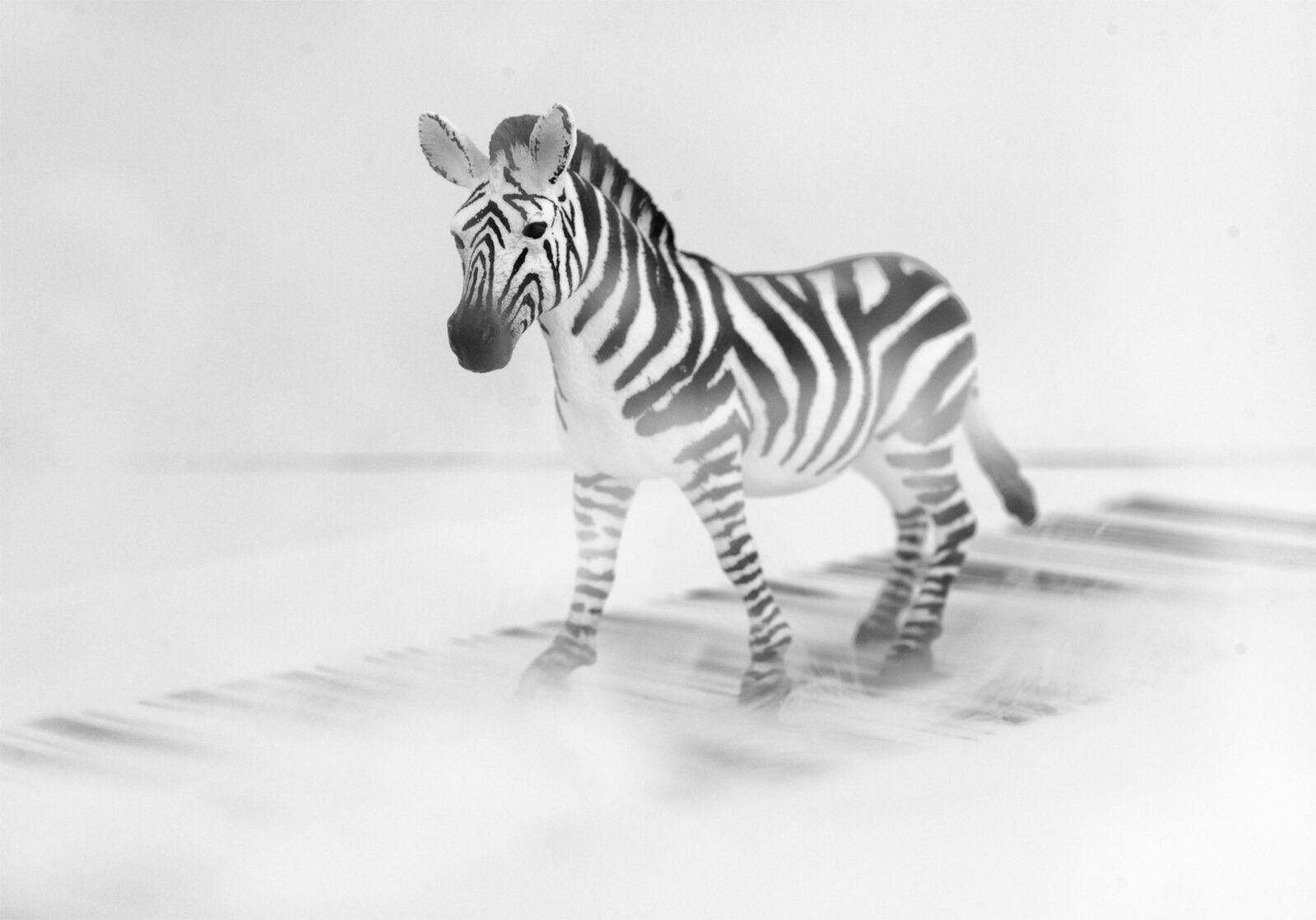 Zebra crossing