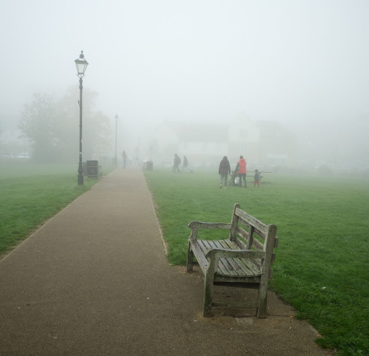251012 Mist On The Meadows