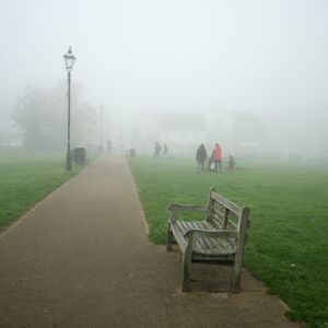 251012 Mist On The Meadows