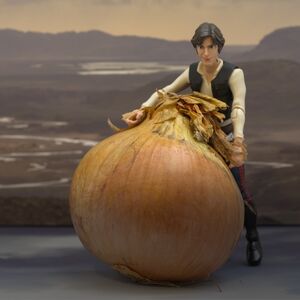 Luke's Onion