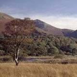 Buttermere #4