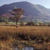 Buttermere #5