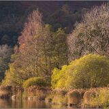 Grasmere #2