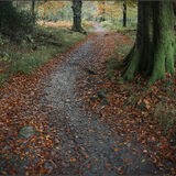 Borrowdale #1
