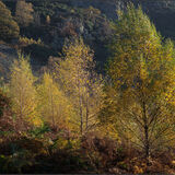 Borrowdale #2