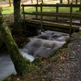 Holme Wood #7