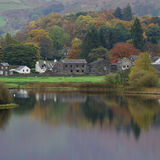 Grasmere #1