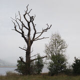 Bassenthwaite Lake #1