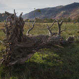 Borrowdale #4