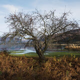 Borrowdale #8