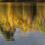 Derwentwater #25