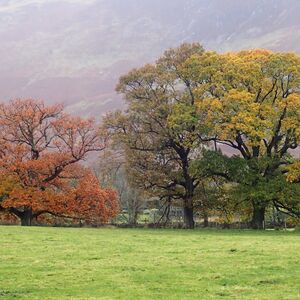 Borrowdale