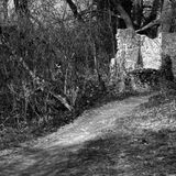 The Folly
